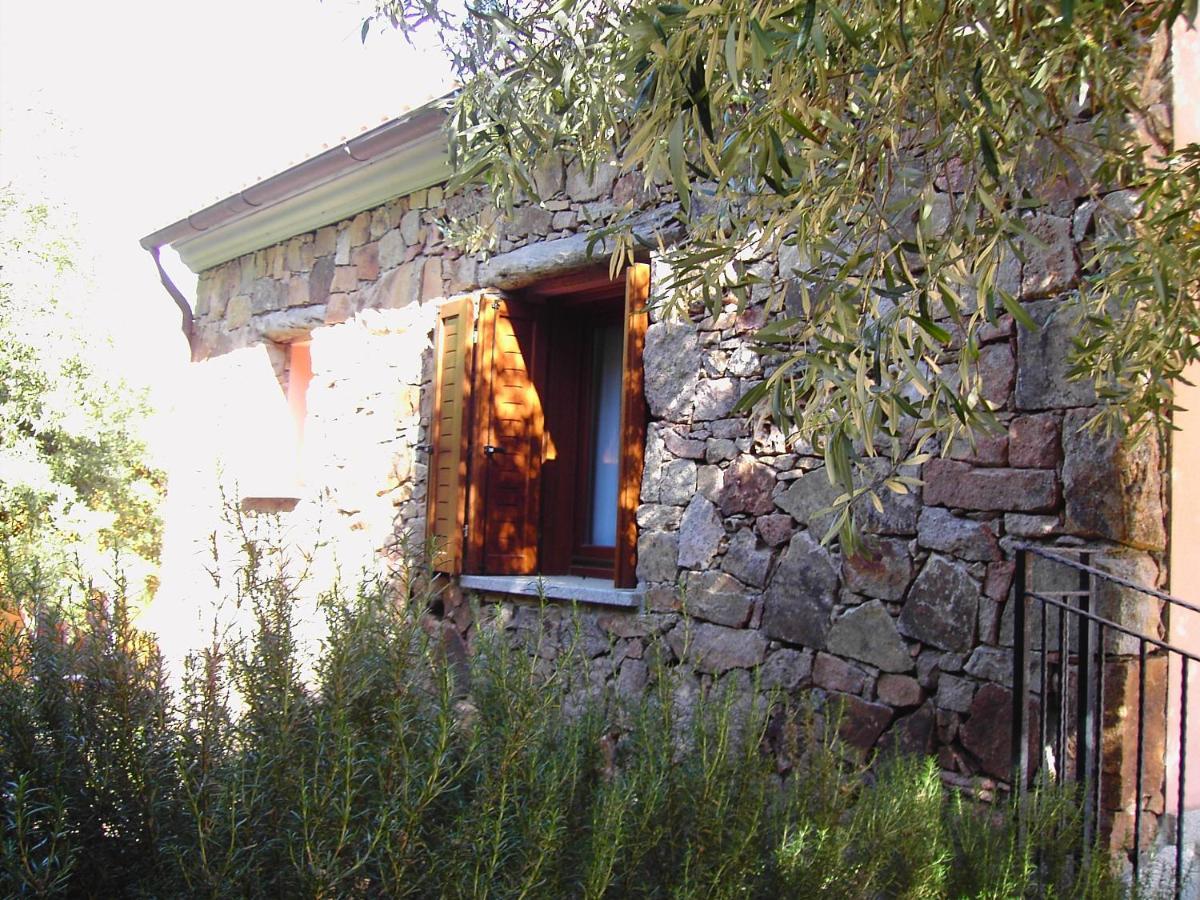 Secret Garden Lejlighed Budoni Eksteriør billede